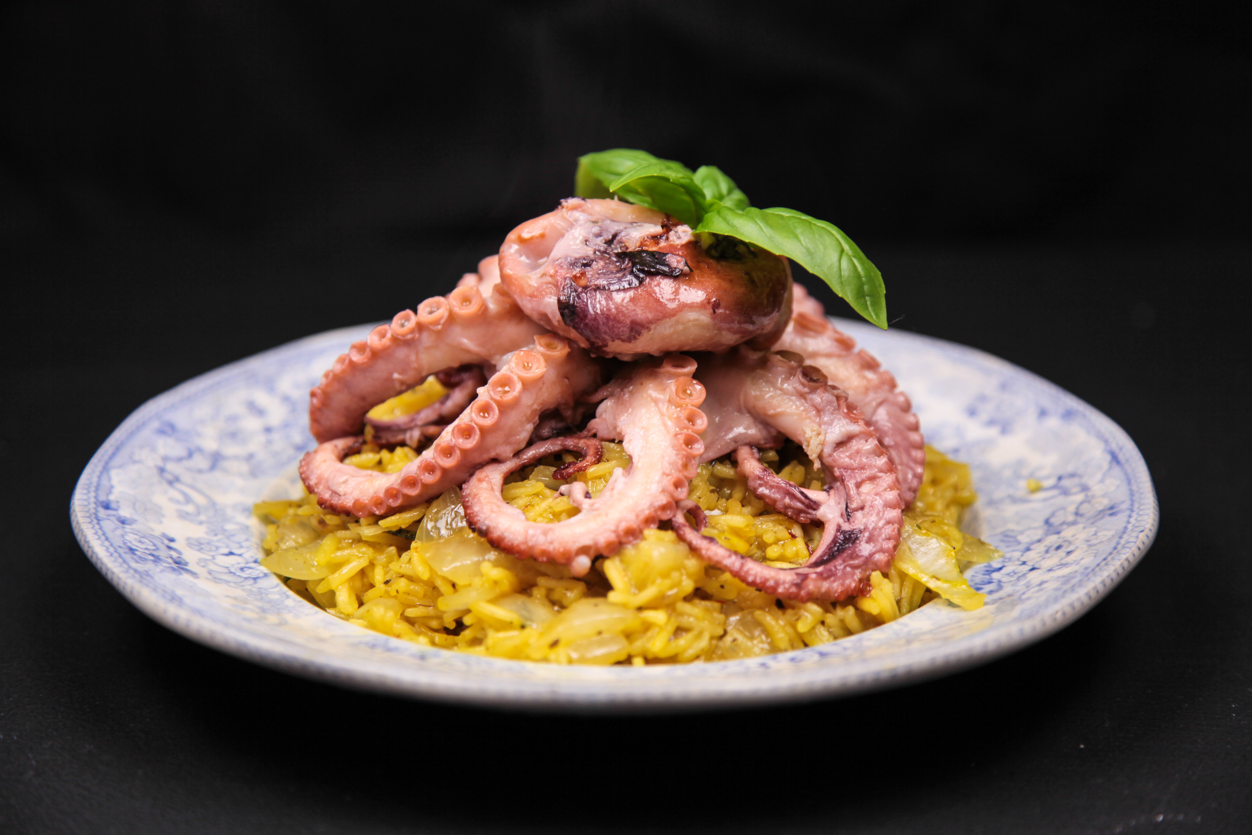 Easy Tender Grilled Octopus with Mediterranean Style Rice  Berries and Spice