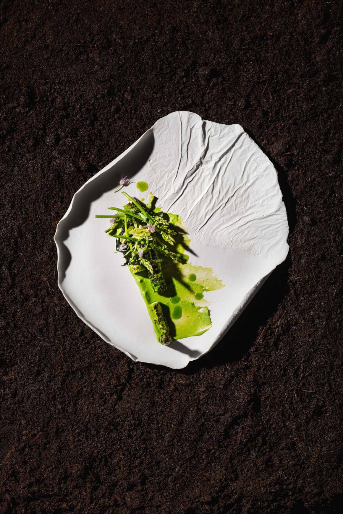 Berries and Spice | Steinbesser Experimental Gastronomy: when food, art and sustainability meet with elegance and playfulness